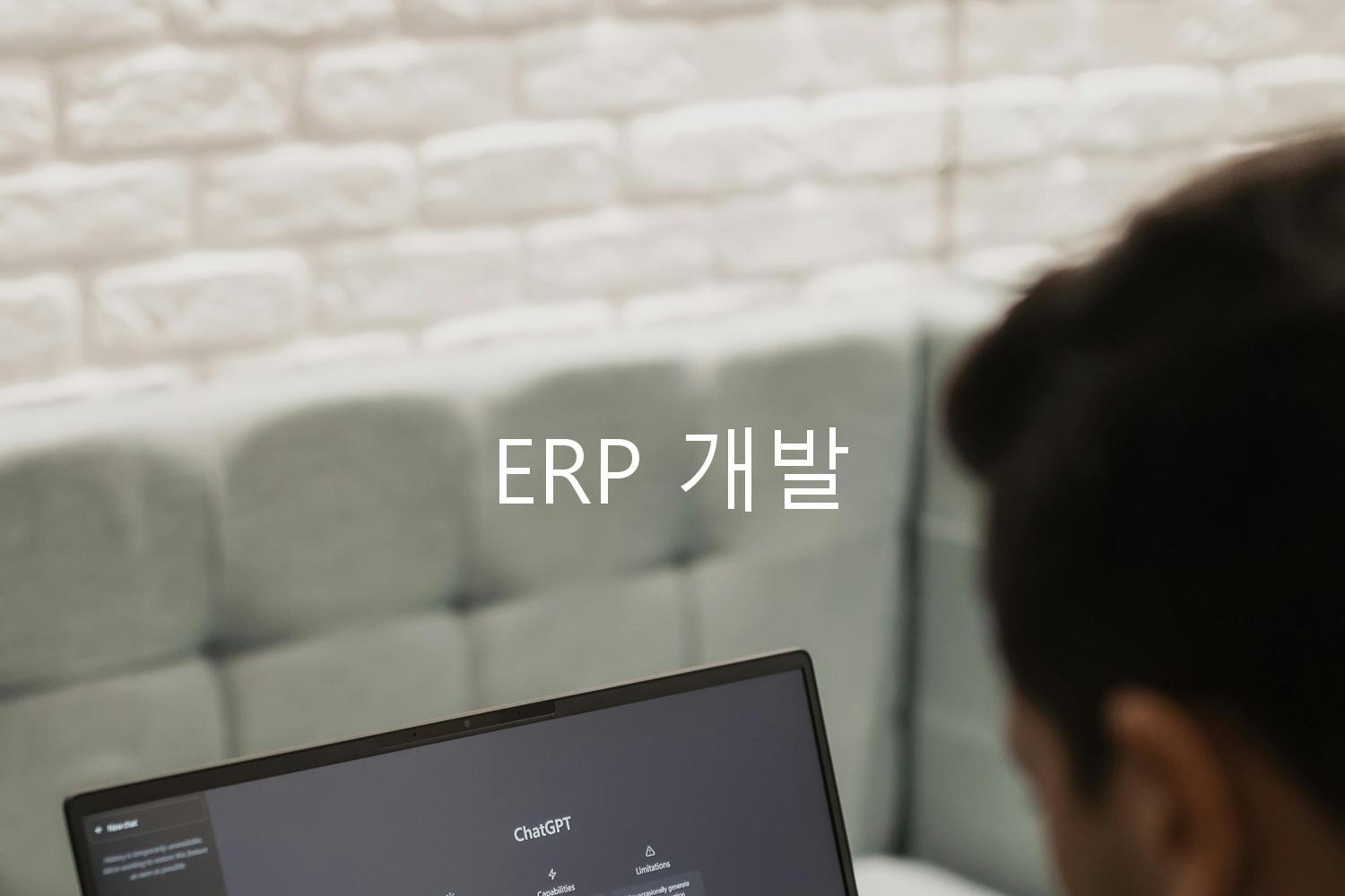 ERP 개발