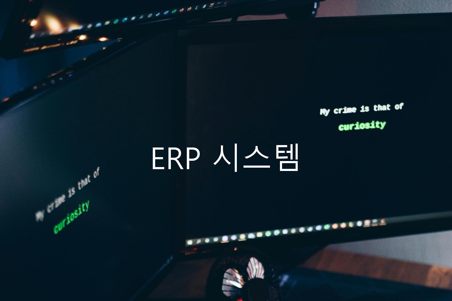 ERP 시스템