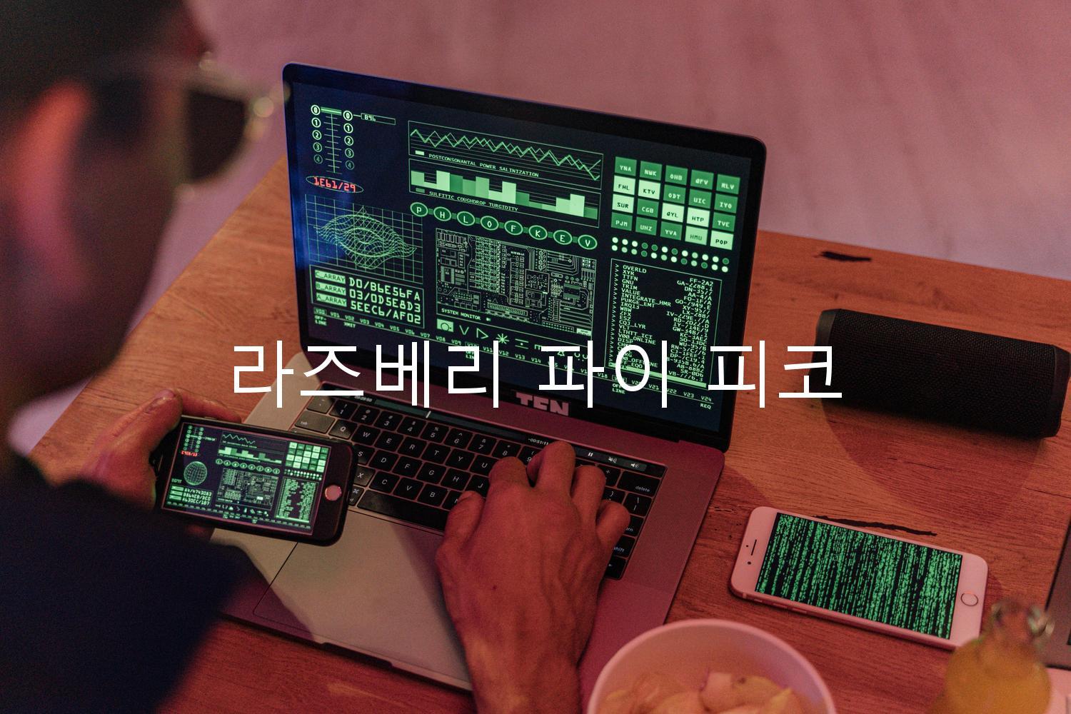 라즈베리 파이 피코