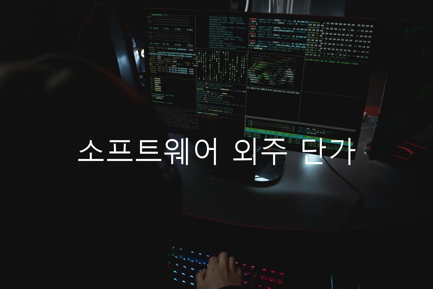 소프트웨어 외주 단가