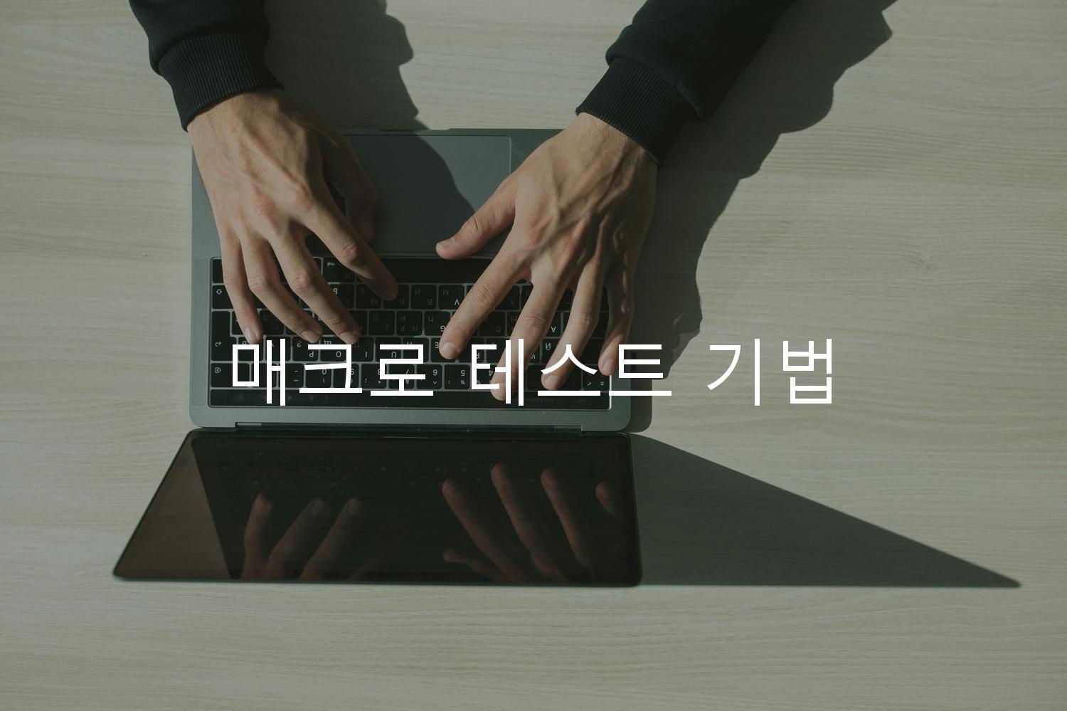 매크로 테스트 기법