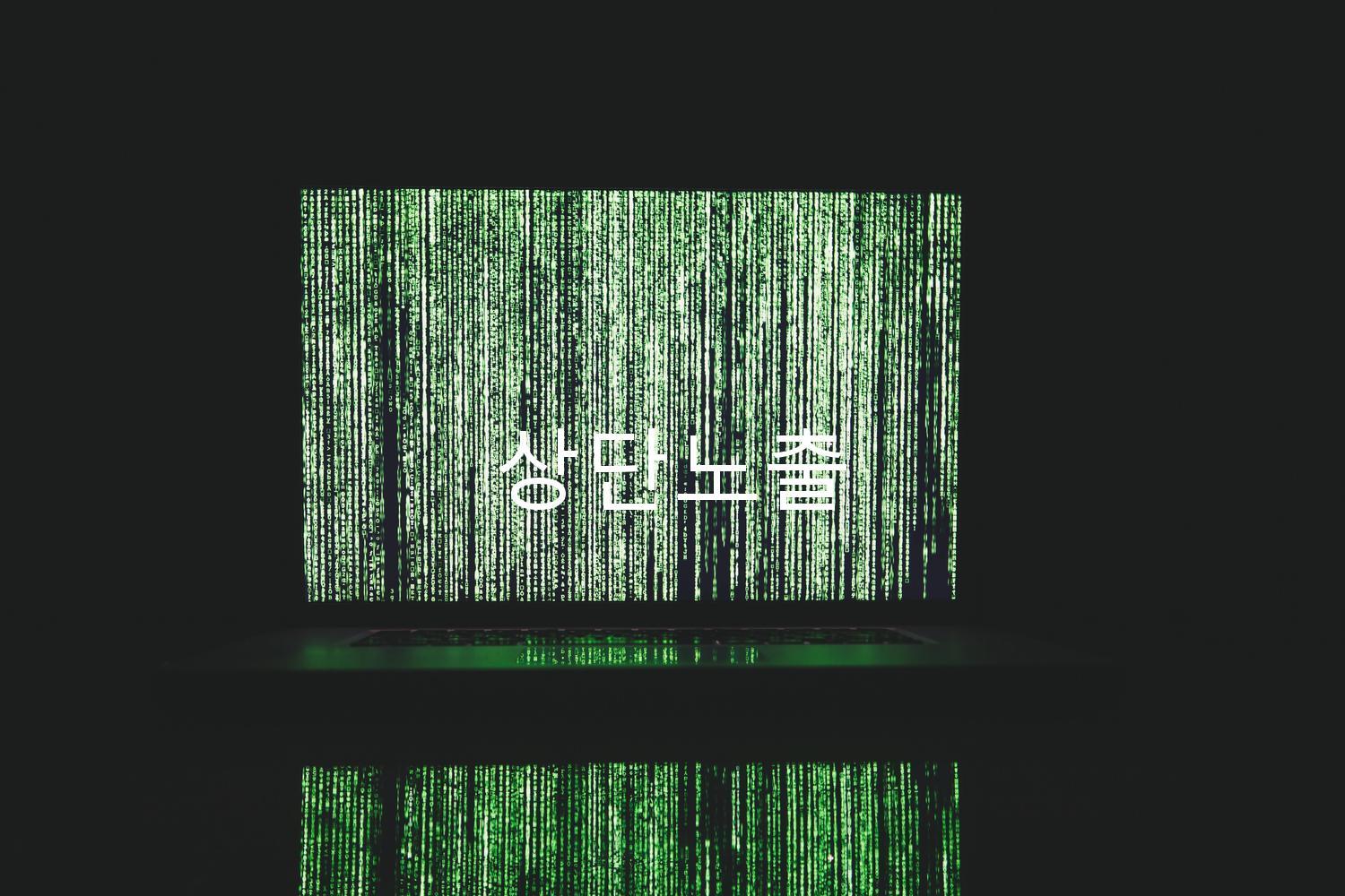 상단노출