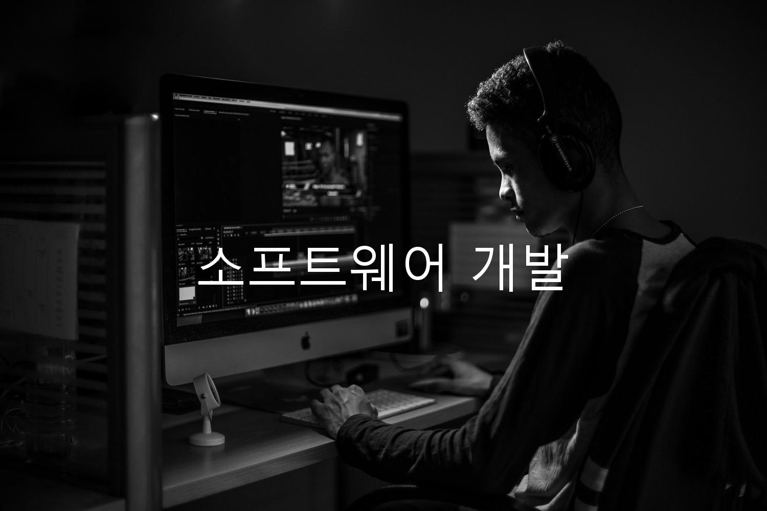 소프트웨어 개발