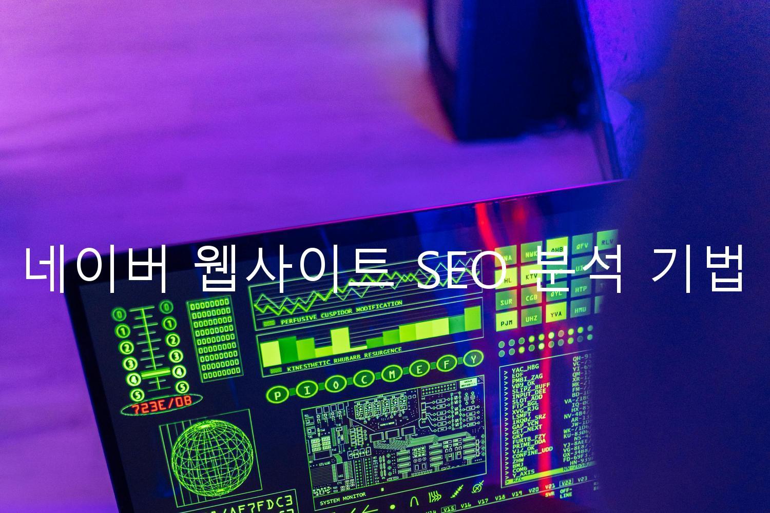 네이버 웹사이트 SEO 분석 기법