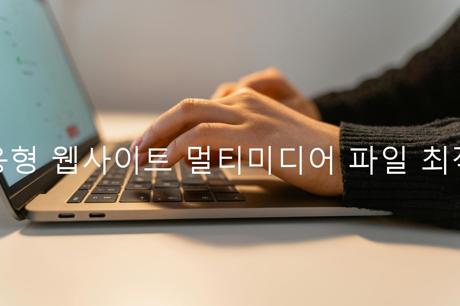 반응형 웹사이트 멀티미디어 파일 최적화