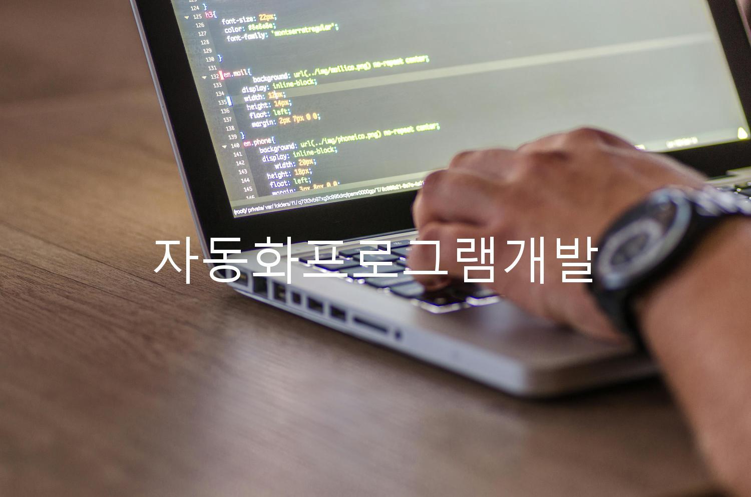 자동화프로그램개발