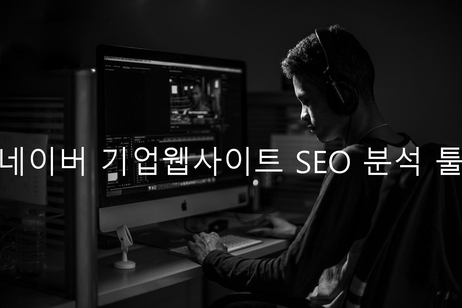 네이버 기업웹사이트 SEO 분석 툴