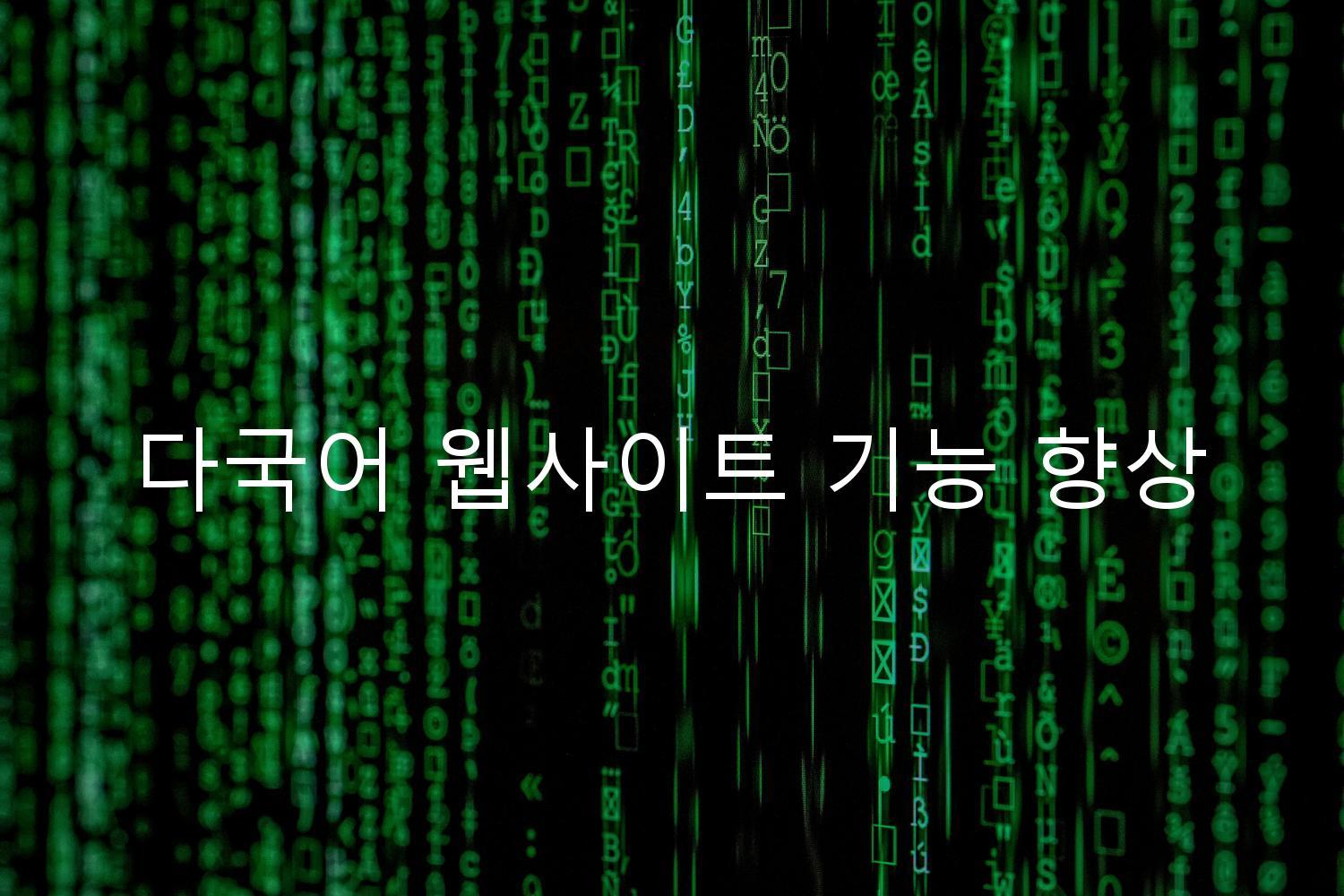 다국어 웹사이트 기능 향상