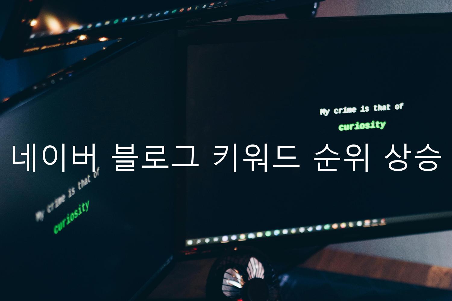 네이버 블로그 키워드 순위 상승