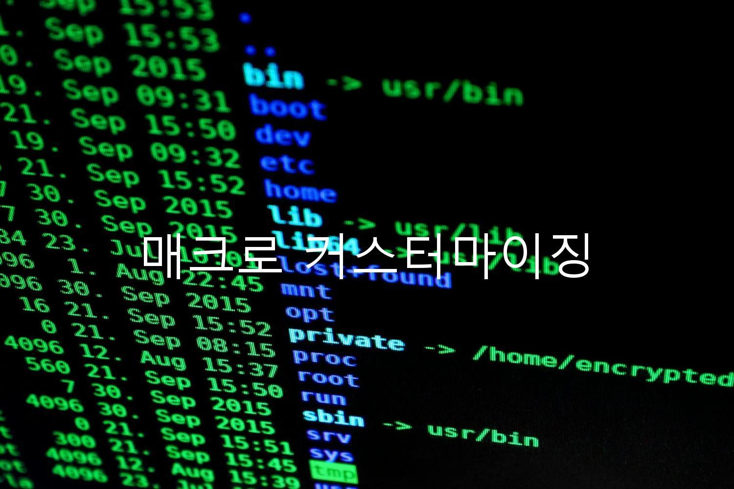 매크로 커스터마이징