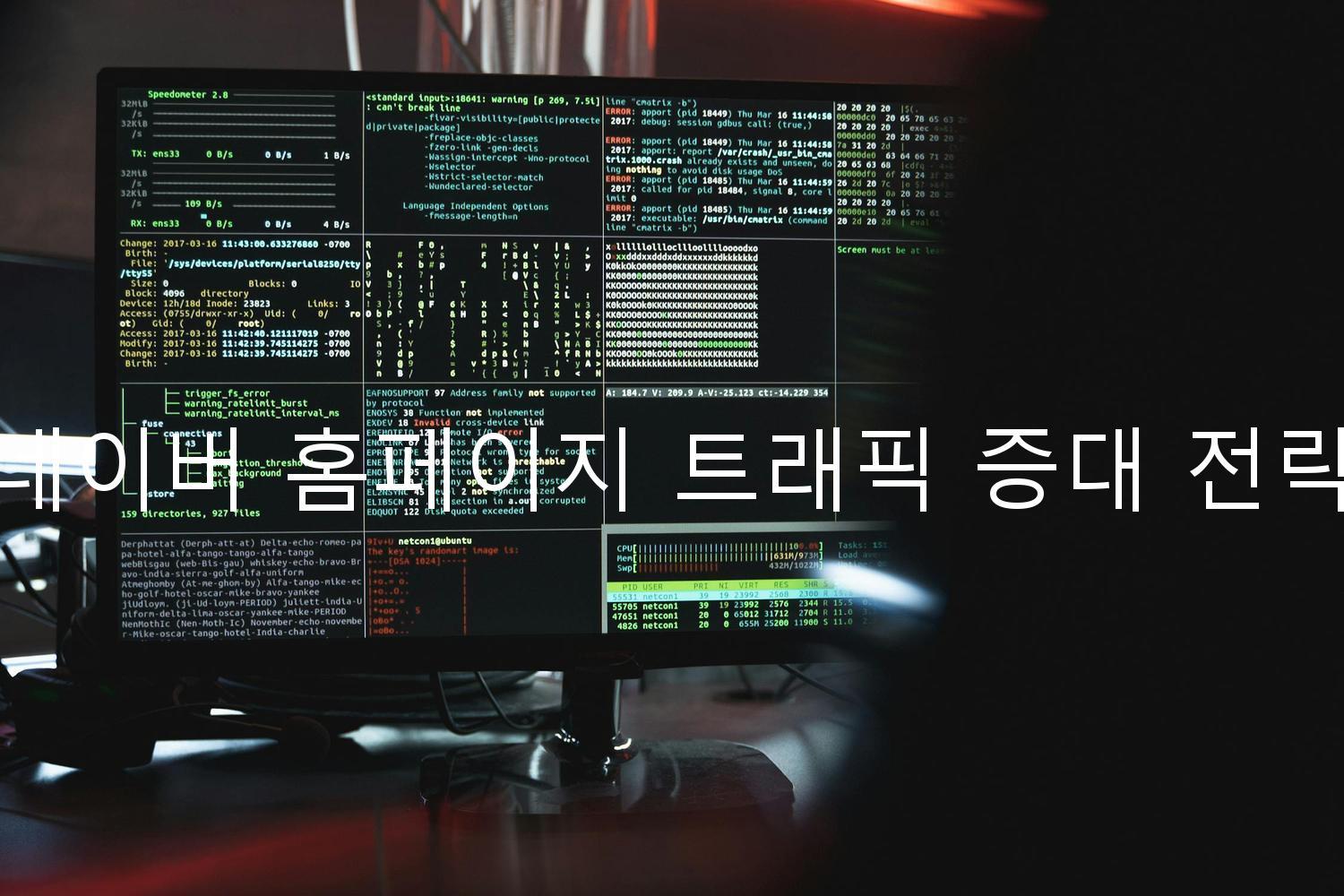 네이버 홈페이지 트래픽 증대 전략