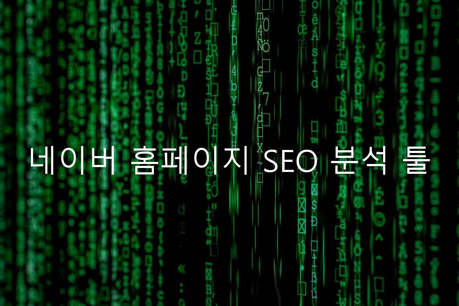 네이버 홈페이지 SEO 분석 툴