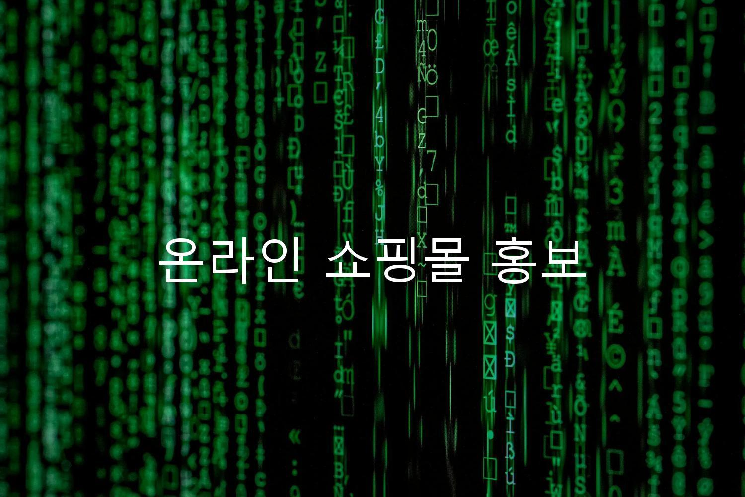 온라인 쇼핑몰 홍보