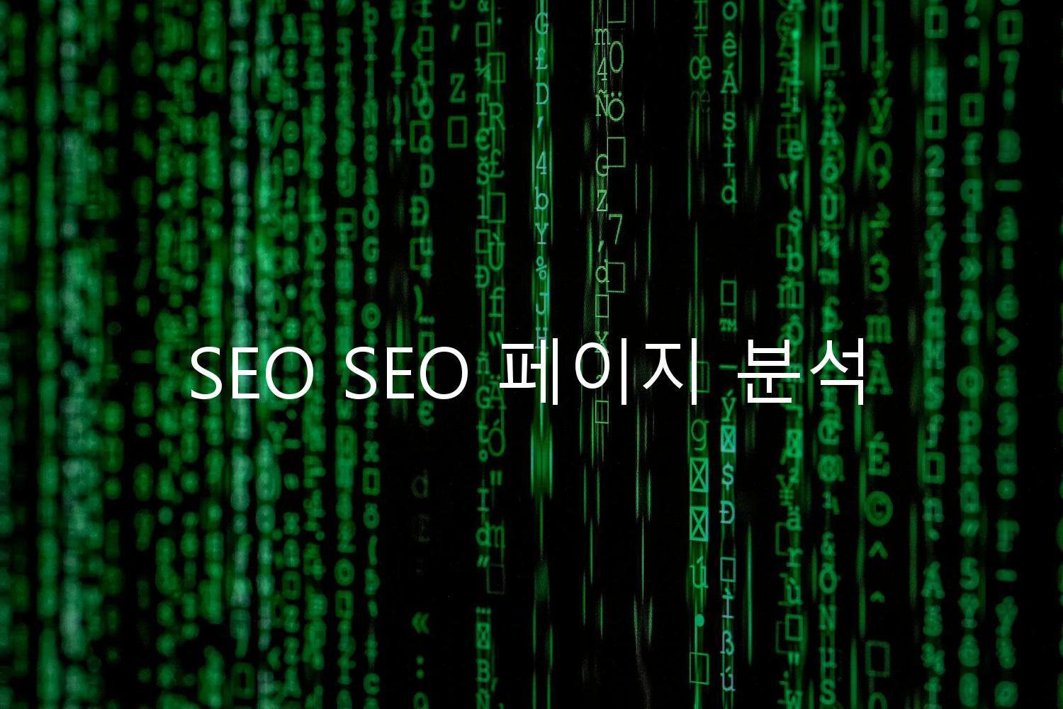 SEO SEO 페이지 분석