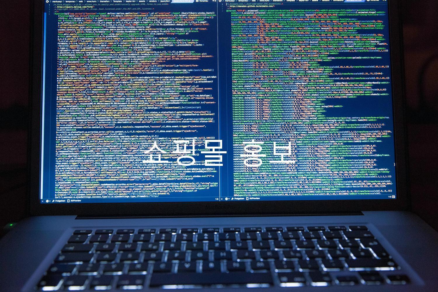 쇼핑몰 홍보