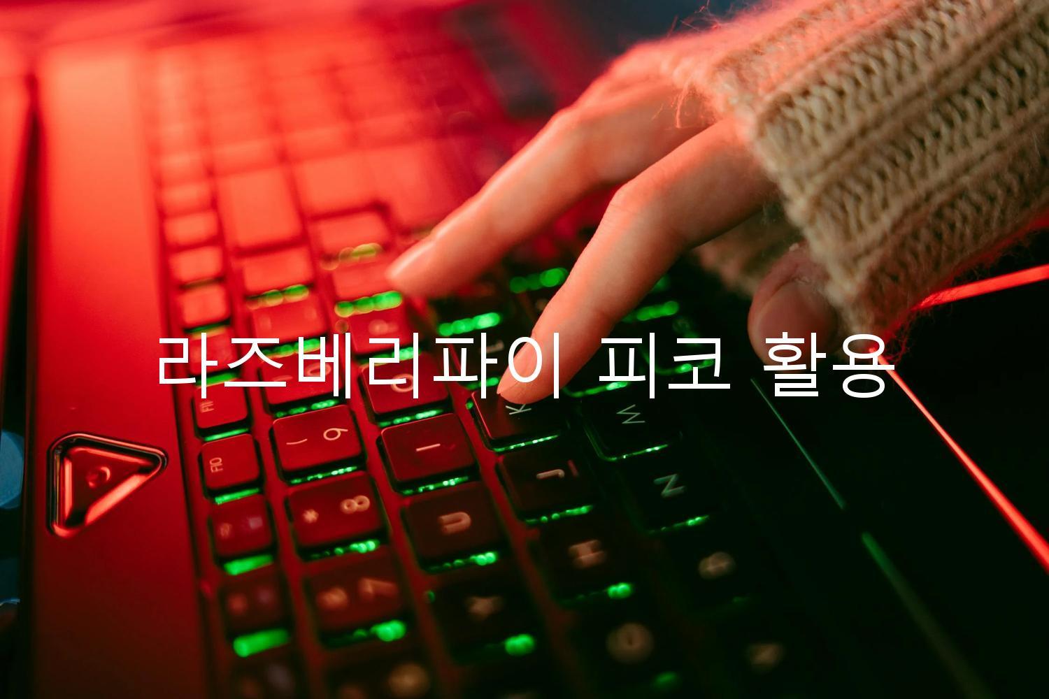 라즈베리파이 피코 활용