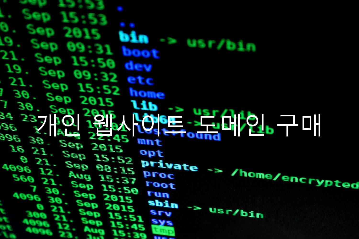 개인 웹사이트 도메인 구매