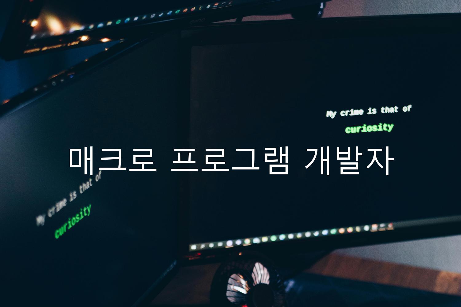 매크로 프로그램 개발자