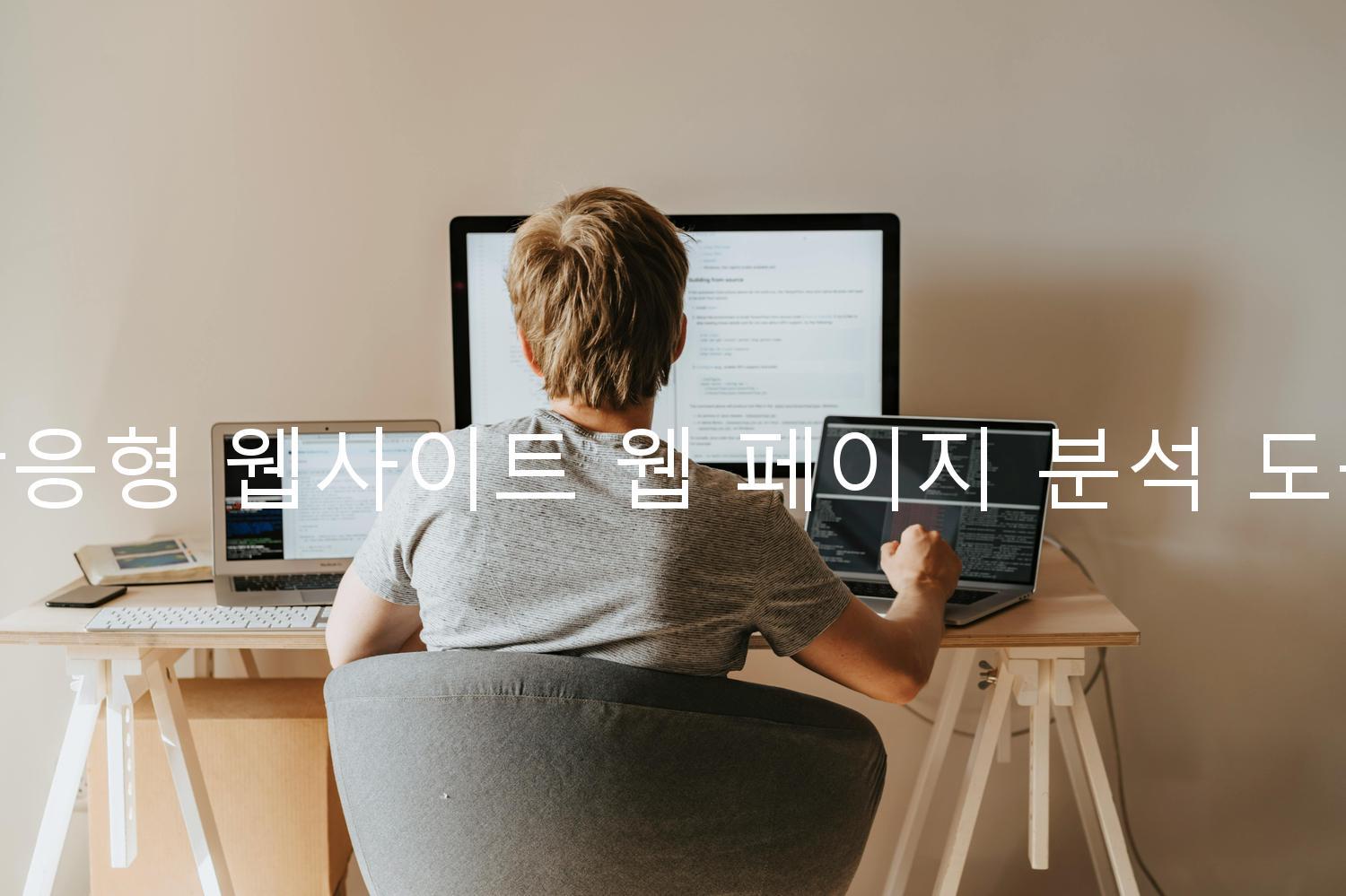 반응형 웹사이트 웹 페이지 분석 도구