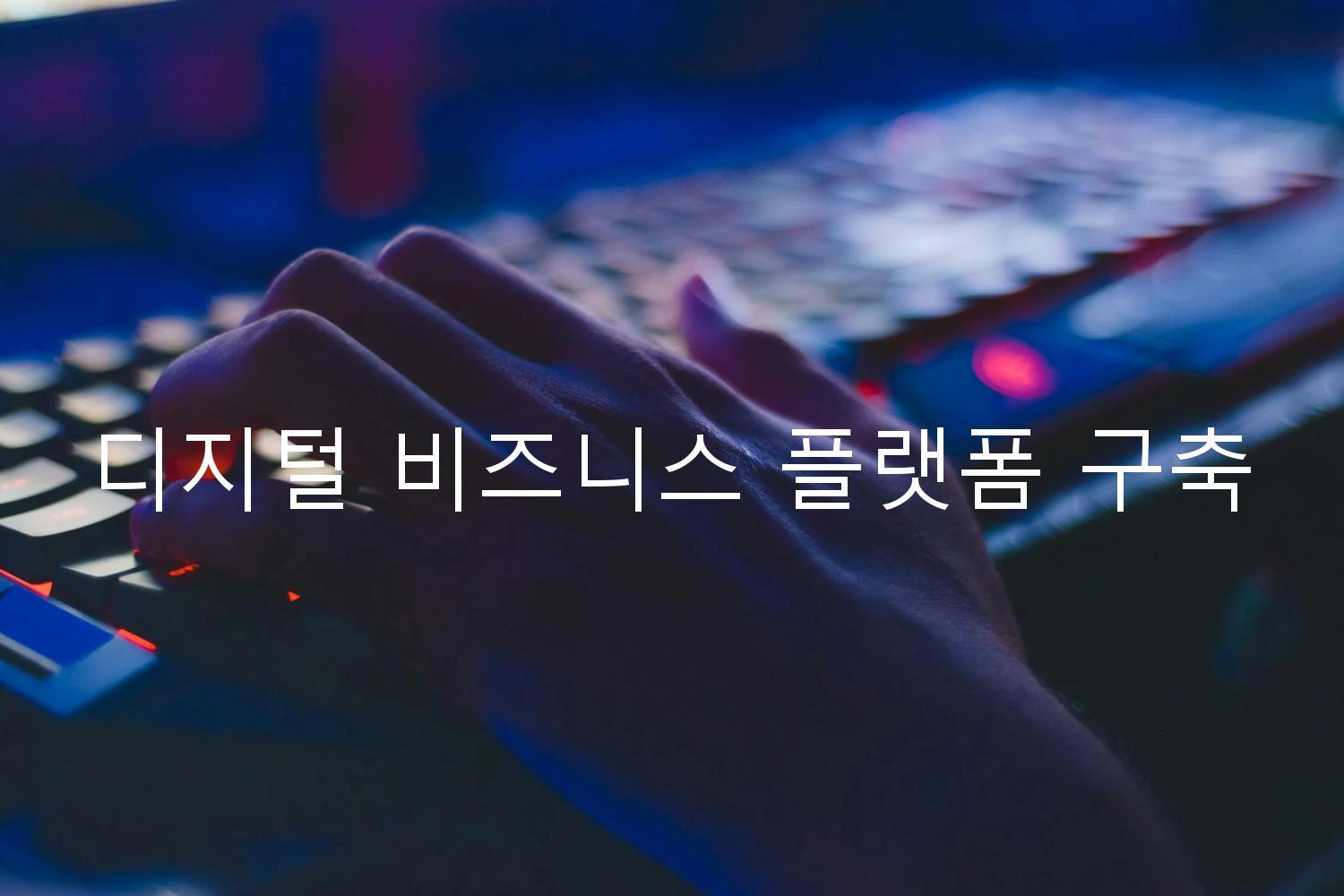 디지털 비즈니스 플랫폼 구축