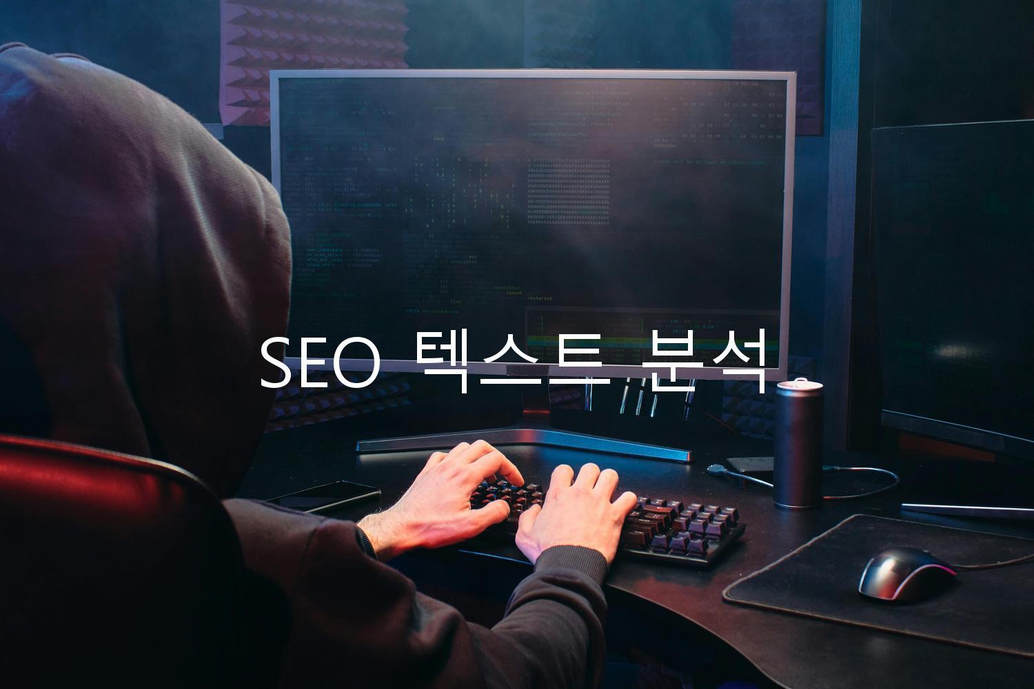 SEO 텍스트 분석