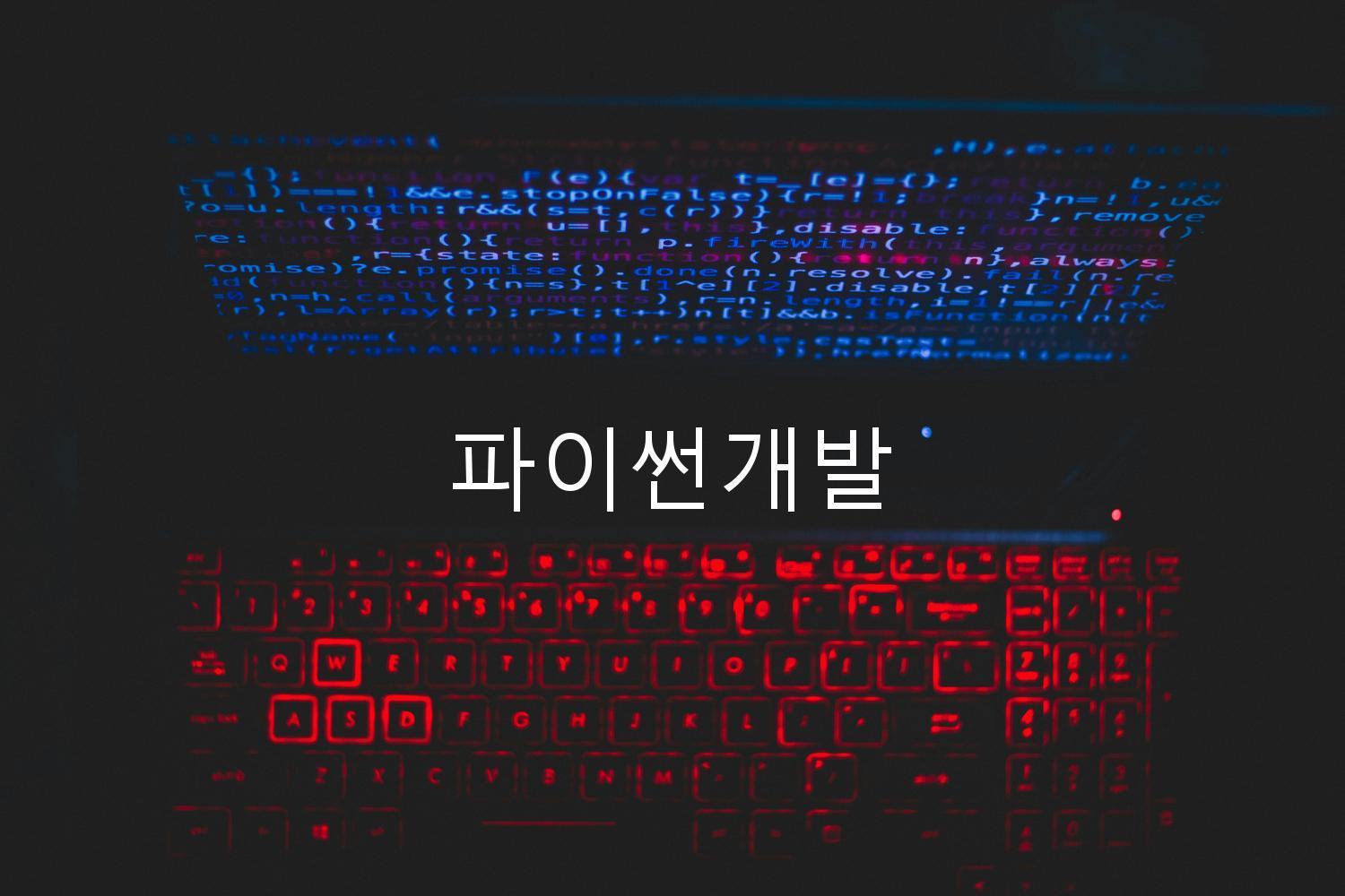 파이썬개발