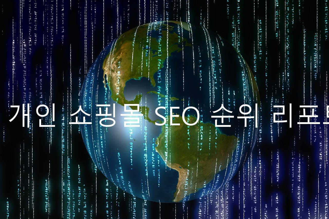 네이버 개인 쇼핑몰 SEO 순위 리포트 도구