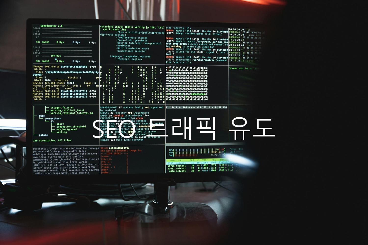 SEO 트래픽 유도