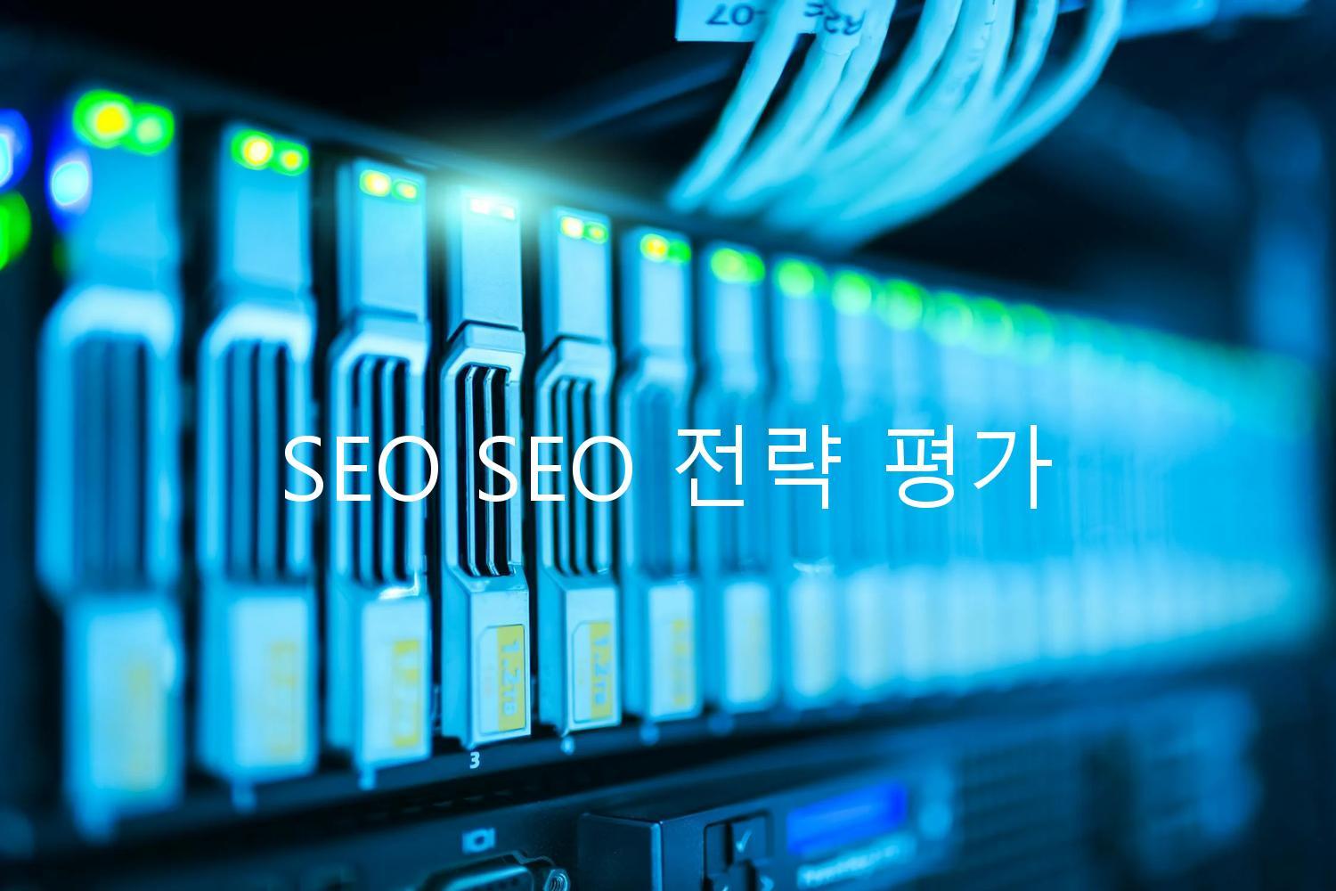 SEO SEO 전략 평가