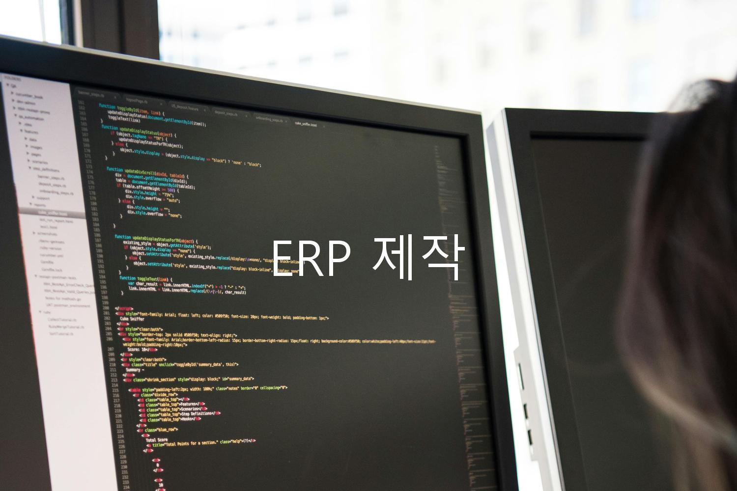 ERP 제작